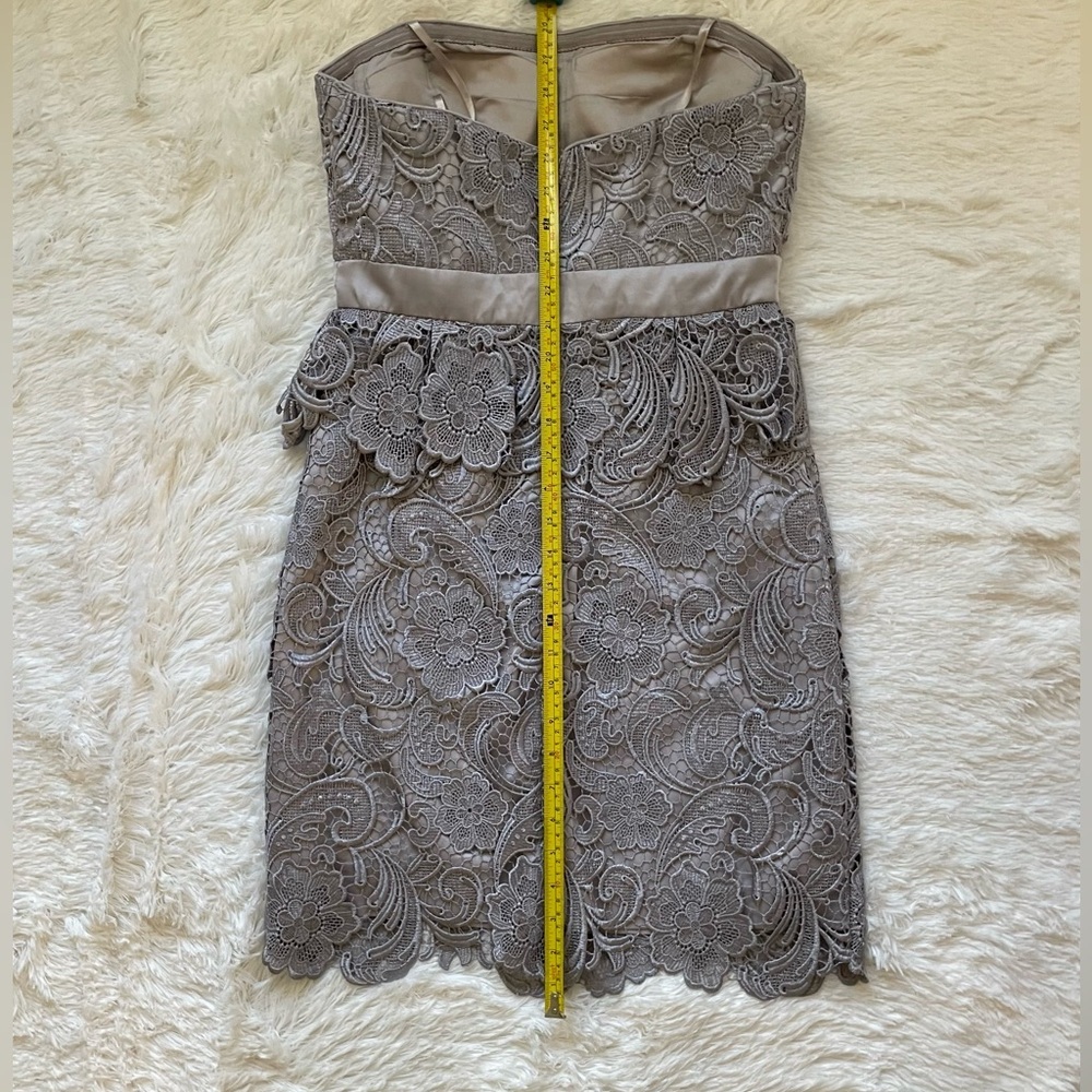 🩶New Adrianna Papell Strapless Lace Dress in Gray. Measurements in pictures. - Picture 10 of 14